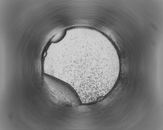 X0000112801072200910021115