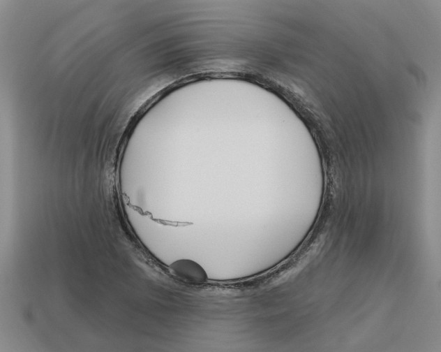 X0000112801073200910021115
