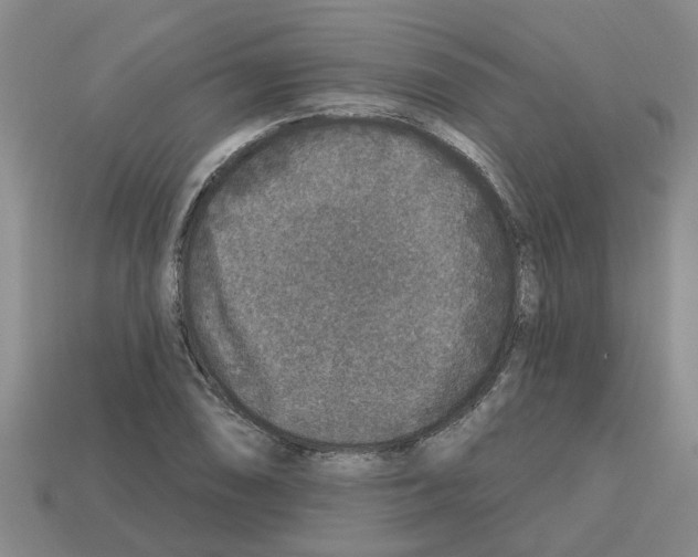 X0000112801074200910021115