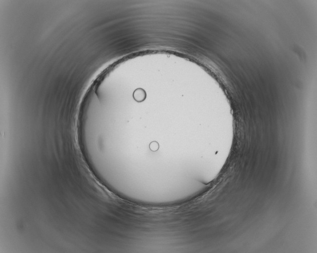 X0000112801076200910021115
