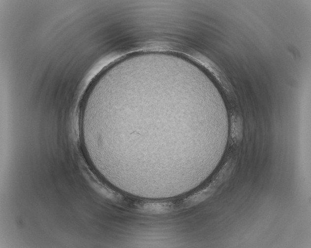 X0000112801078200910021115