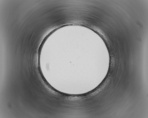 X0000112801079200910021115