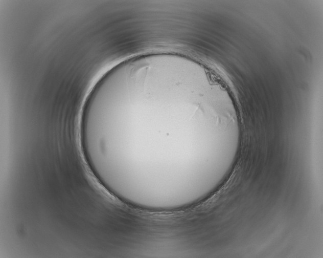 X0000112801080200910021115