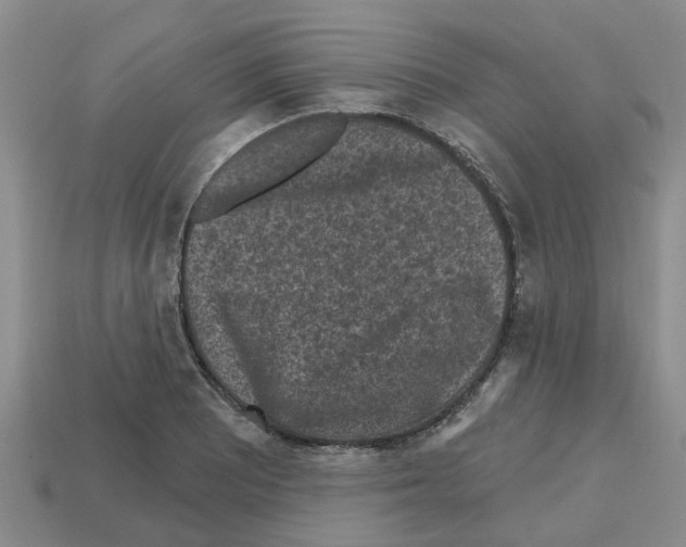 X0000112801081200910021115