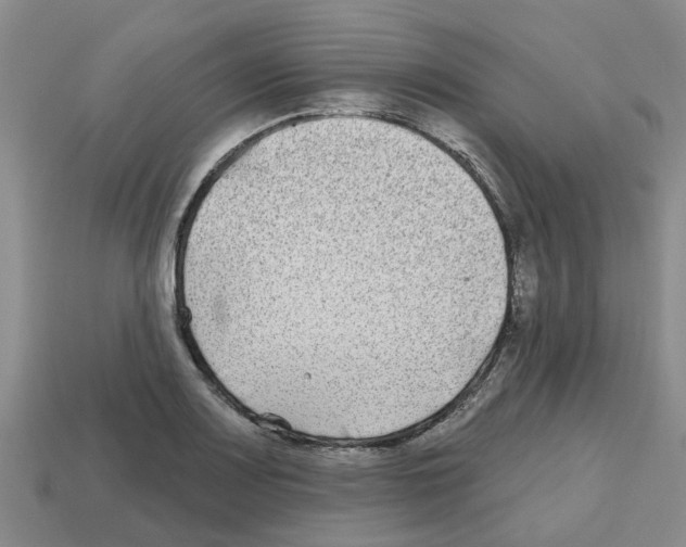 X0000112801083200910021115
