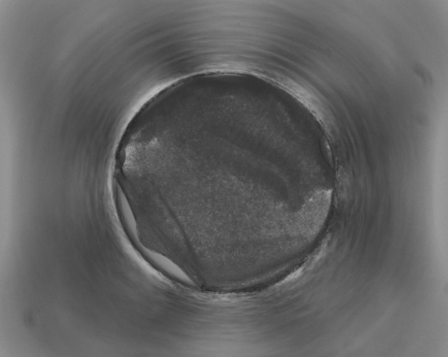 X0000112801084200910021115