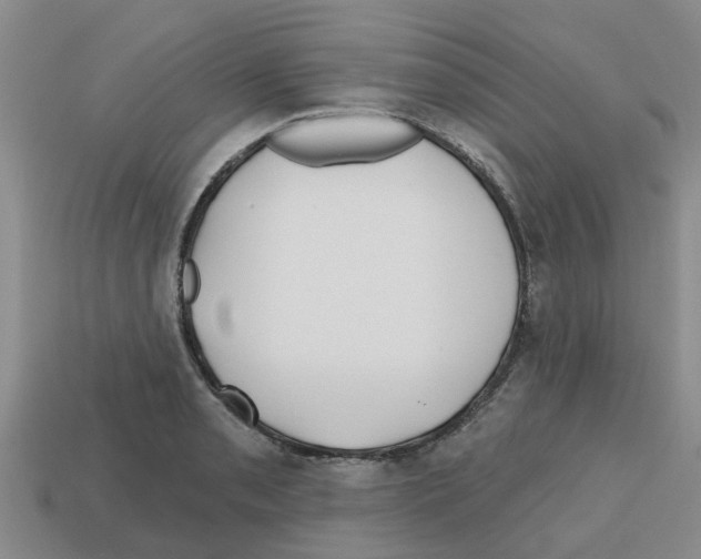 X0000112801085200910021115