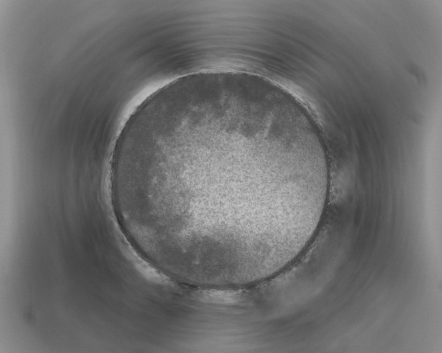 X0000112801086200910021115