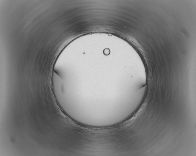 X0000112801089200910021115