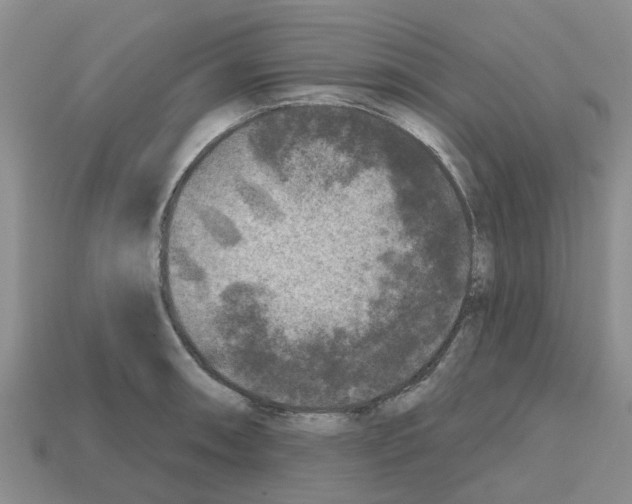 X0000112801090200910021115