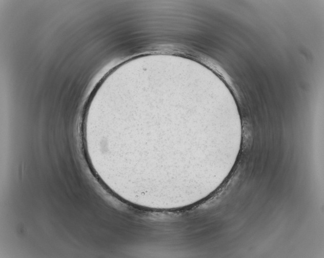 X0000112801091200910021115