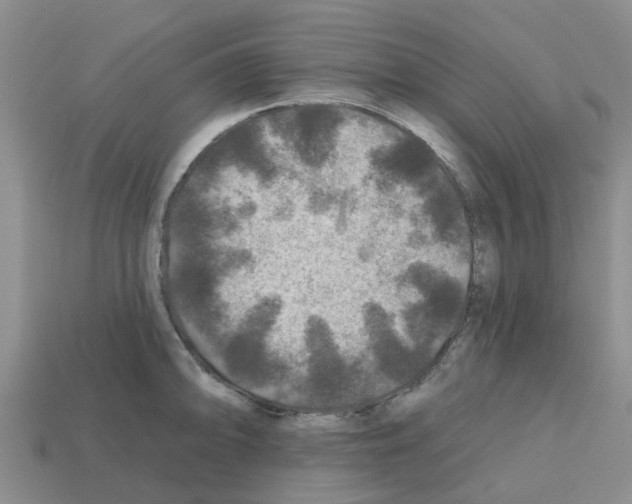 X0000112801094200910021115