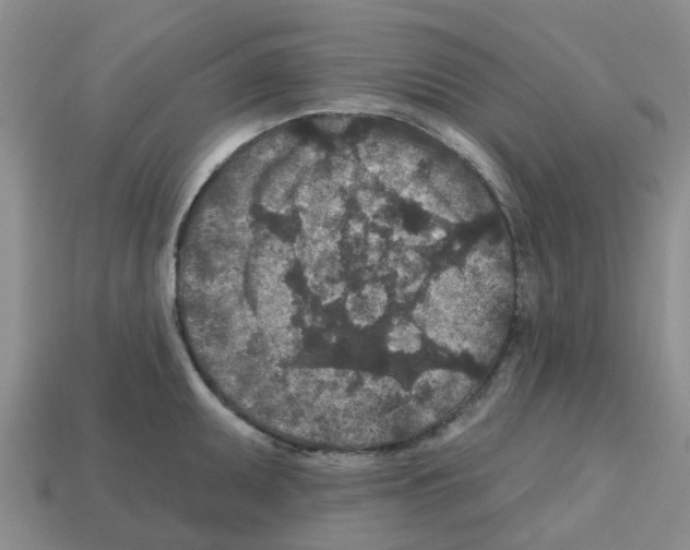 X0000112801095200910021115