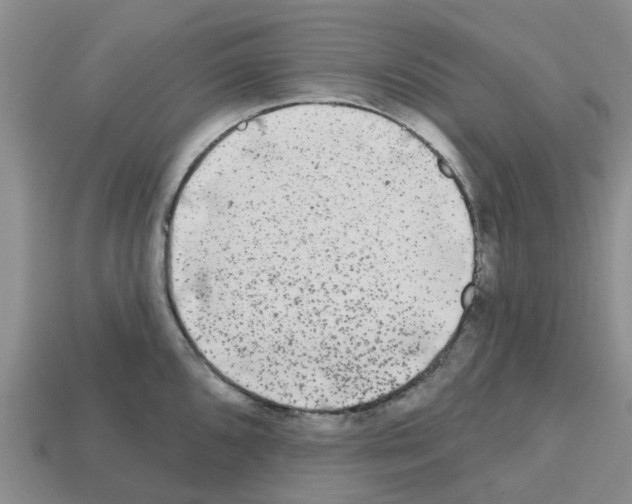 X0000112801096200910021115