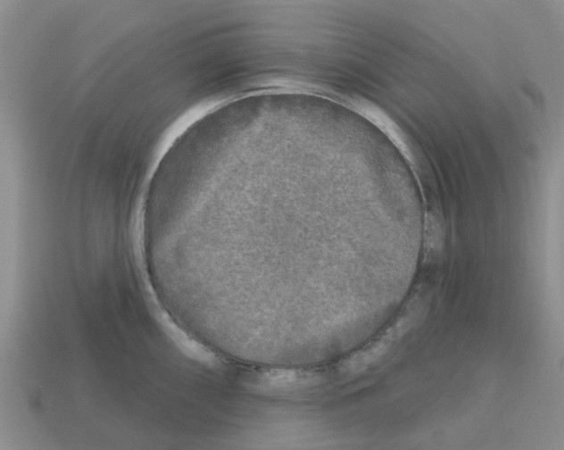 X0000112801098200910021115