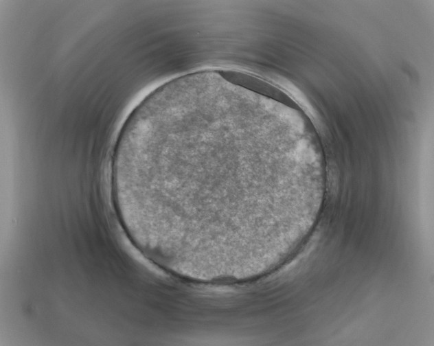 X0000112801100200910021115