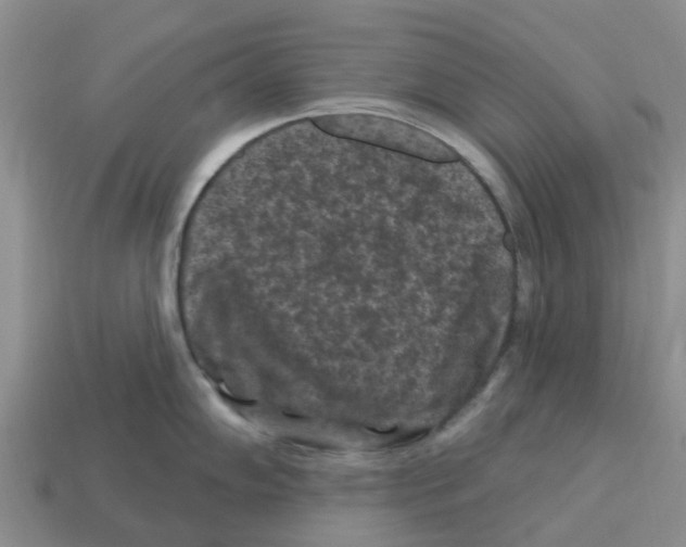 X0000112801102200910021115