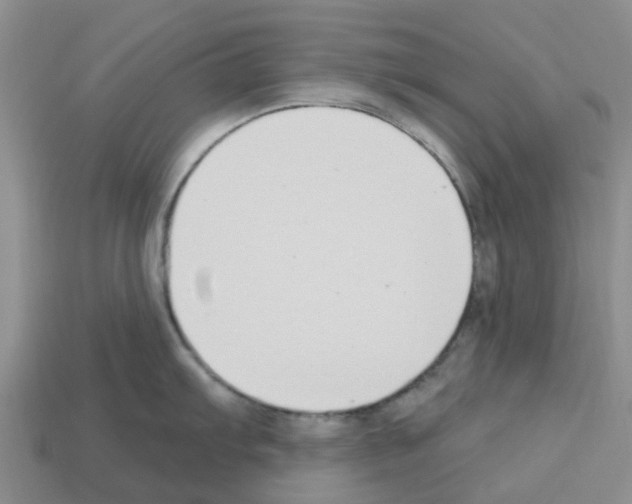 X0000112801103200910021115