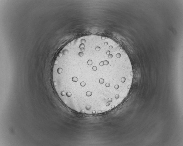 X0000112801105200910021114