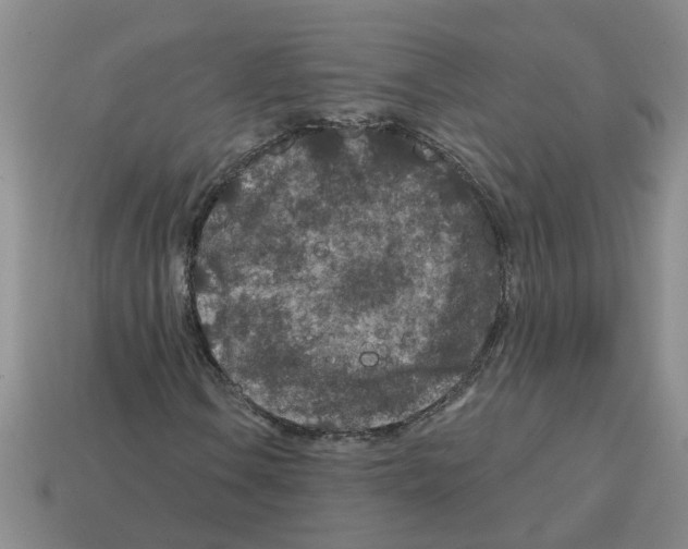 X0000112801106200910021114