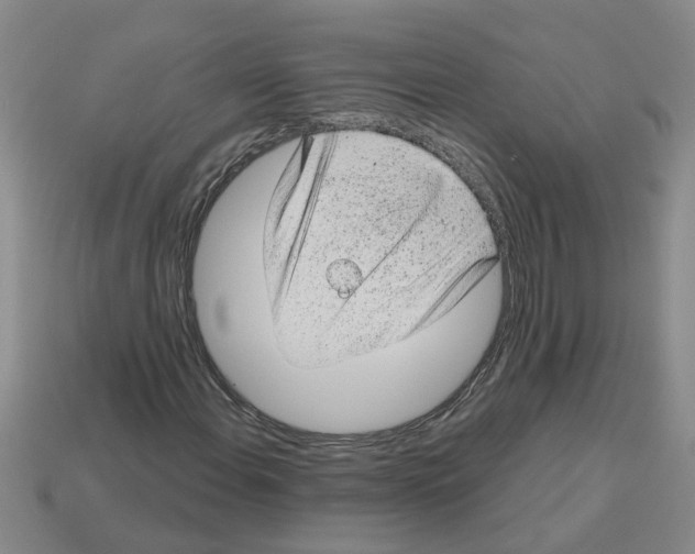 X0000112801108200910021114