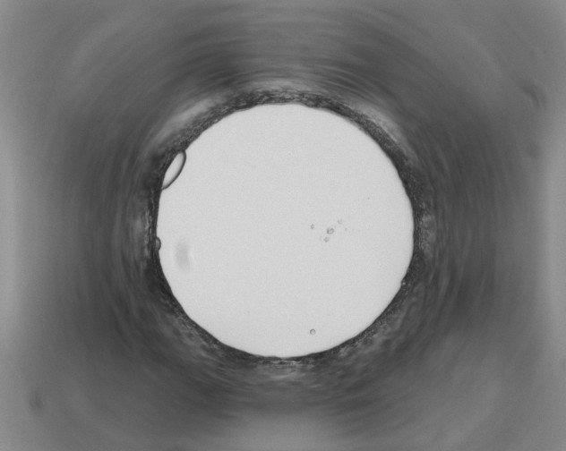 X0000112801111200910021114