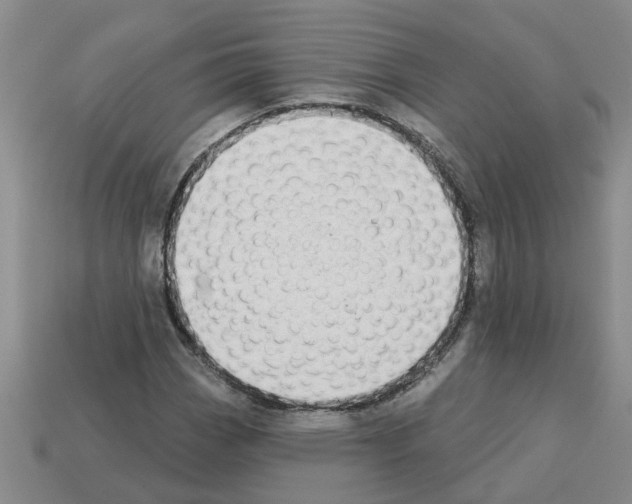 X0000112801113200910021114