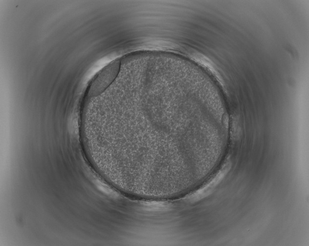 X0000112801114200910021114