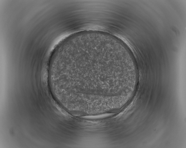 X0000112801115200910021114