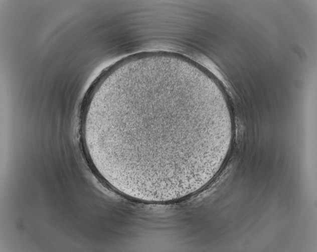 X0000112801116200910021114