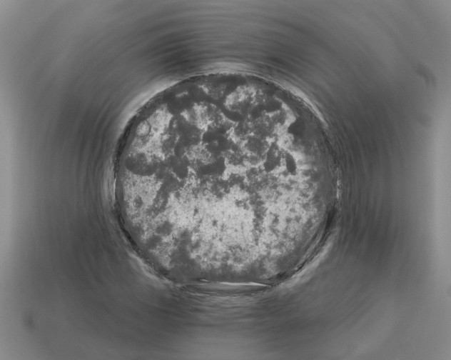 X0000112801117200910021114
