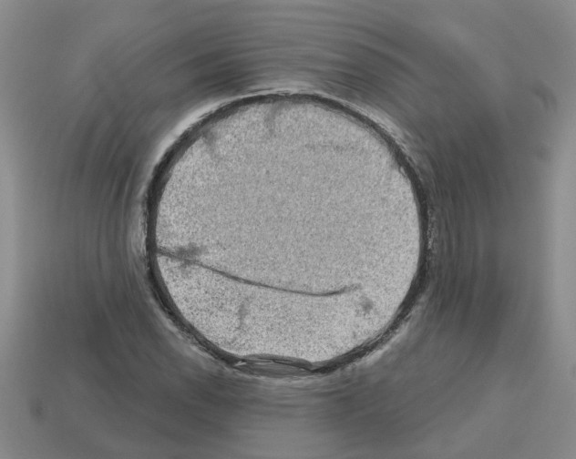 X0000112801118200910021114