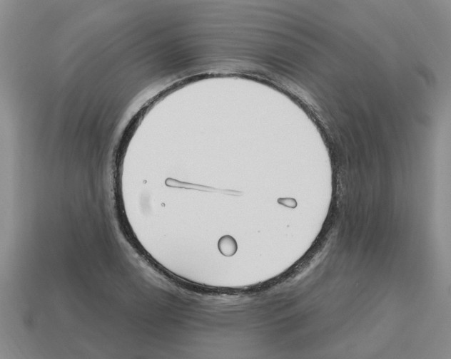 X0000112801122200910021115