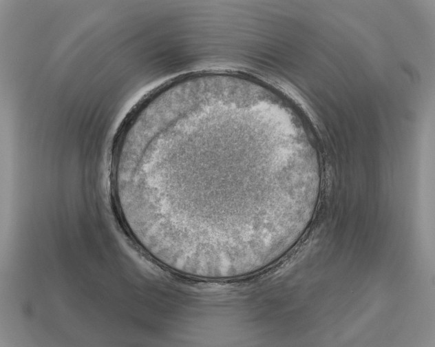 X0000112801124200910021115