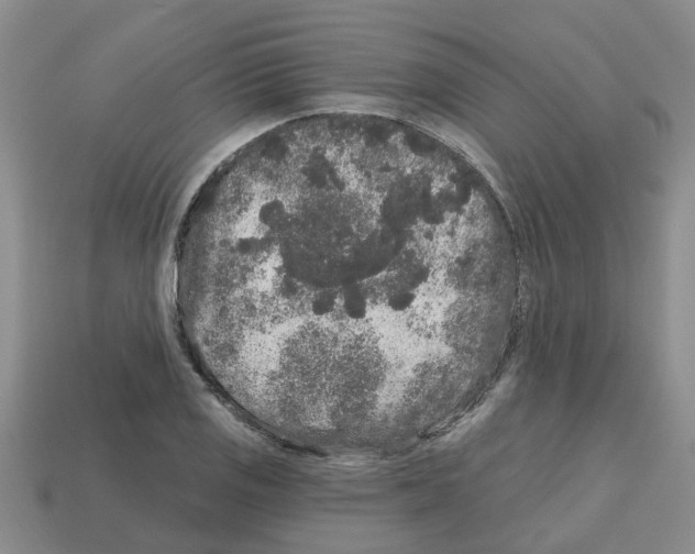 X0000112801125200910021115