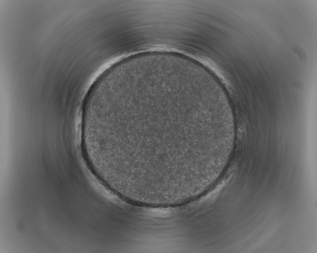 X0000112801126200910021115
