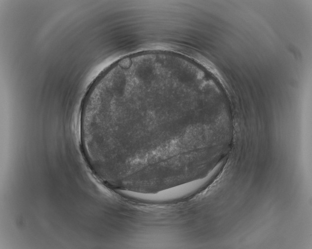X0000112801127200910021115