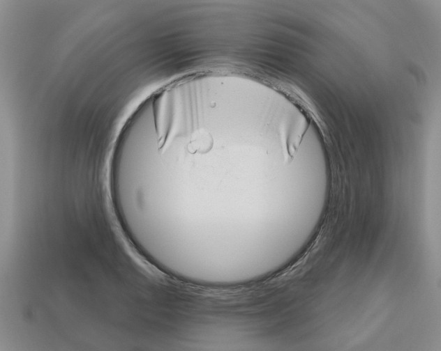 X0000112801128200910021115