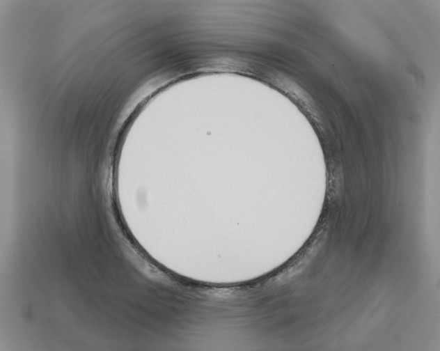X0000112801130200910021115