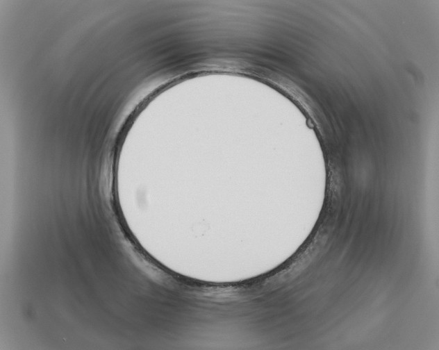 X0000112801131200910021115