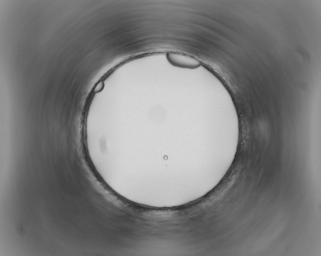 X0000112801134200910021115