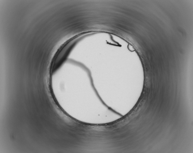 X0000112801136200910021115