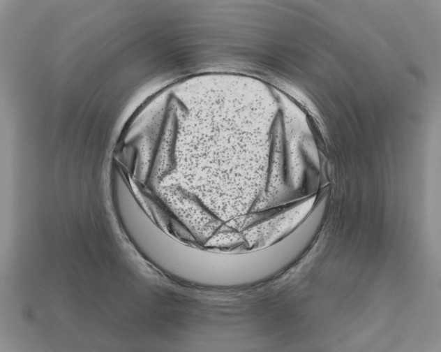 X0000112801138200910021115