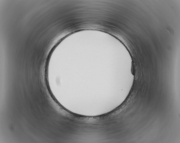 X0000112801139200910021115