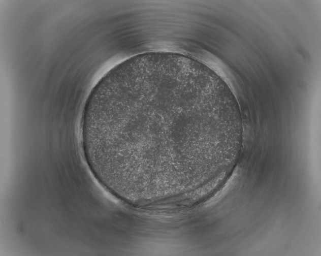 X0000112801141200910021115