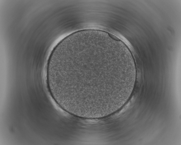 X0000112801144200910021115