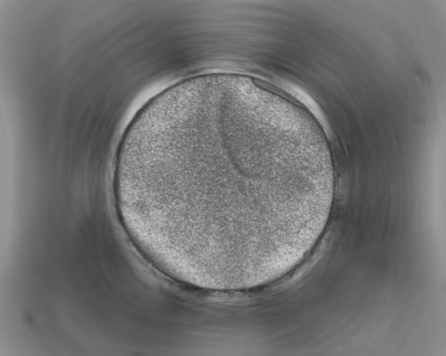 X0000112801146200910021115