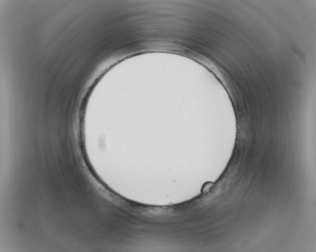 X0000112801147200910021115