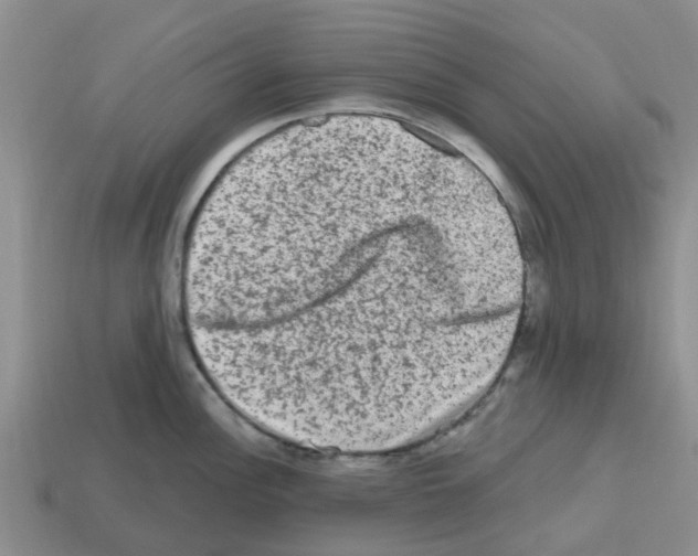 X0000112801148200910021115