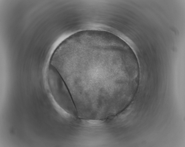 X0000112801152200910021115